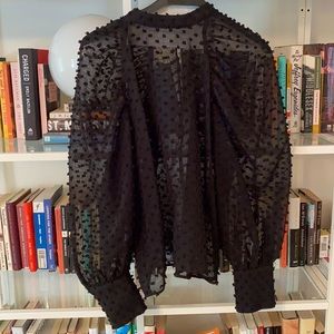 Sheer Black Zara Balloon Sleeve Blouse